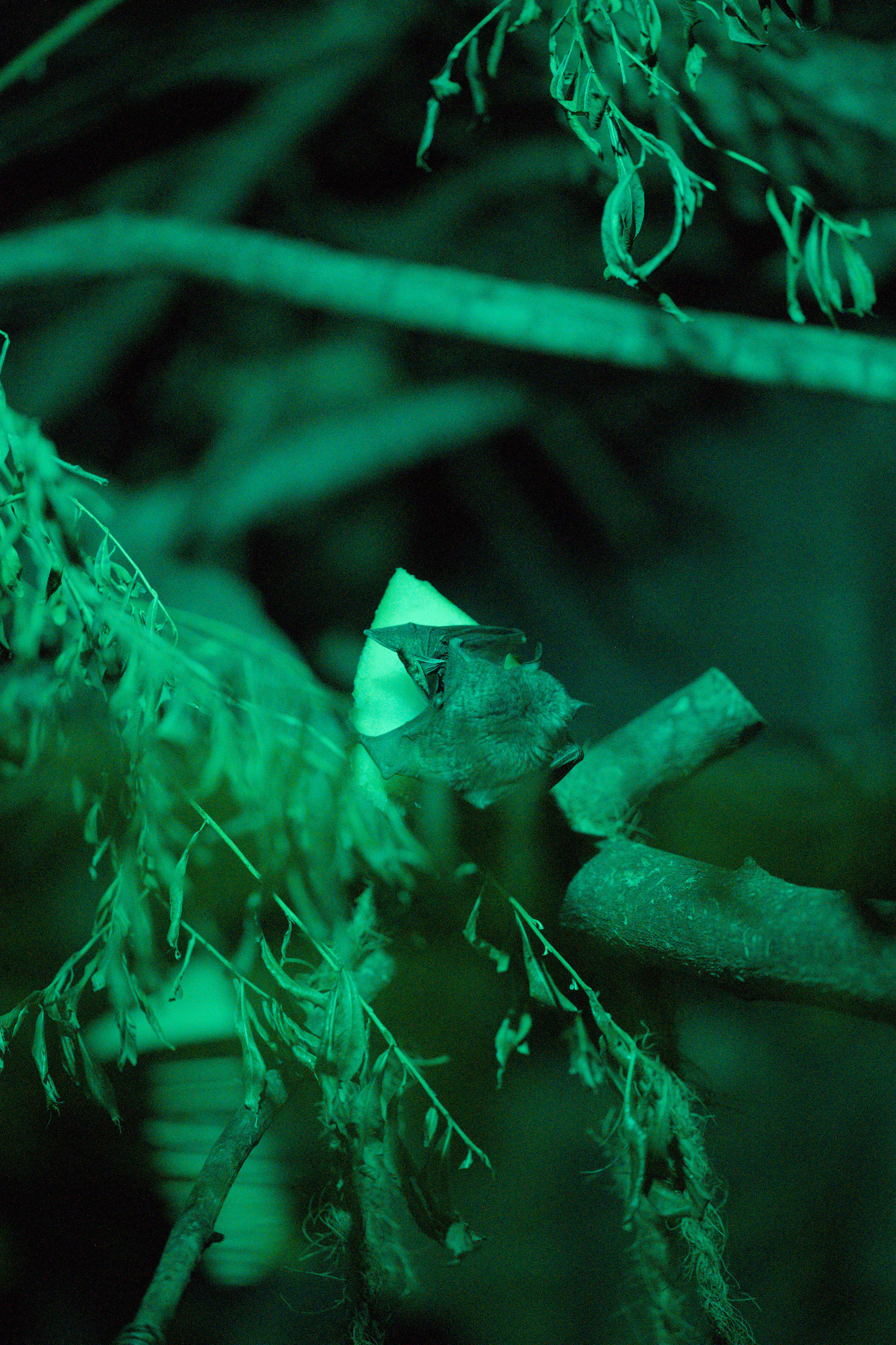 2025/10/12 - zoo/DSC_0272.jpg